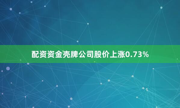 配资资金壳牌公司股价上涨0.73%