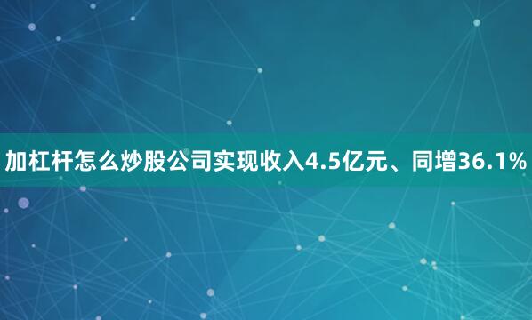 加杠杆怎么炒股公司实现收入4.5亿元、同增36.1%